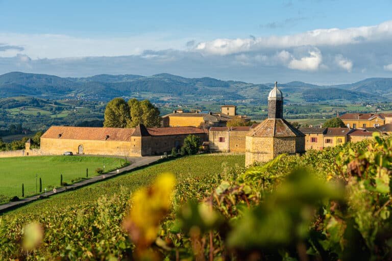 Image paysage Beaujolais