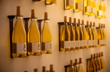 Bouteilles de vin dans un chai urbain à Lyon pour un séjour gastronomique nemetia.